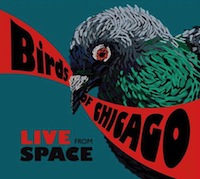 birds of chicago - live from space