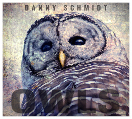 danny schmidt - owls
