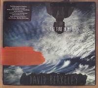 david berkeley - the fire in my head
