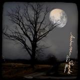autumn shade - ezra moon autumn shade - ezra moon