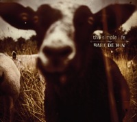 bart de win - the simple life bart de win - the simple life