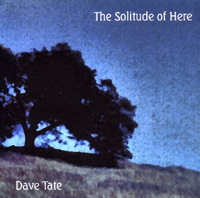 dave tate - the solitude of here
