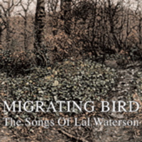 migrating bird - songs of lal waterson