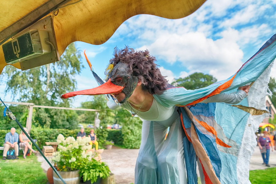 De Vogelvrouw De Vogelvrouw