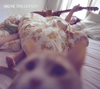 signe tollefsen signe tollefsen